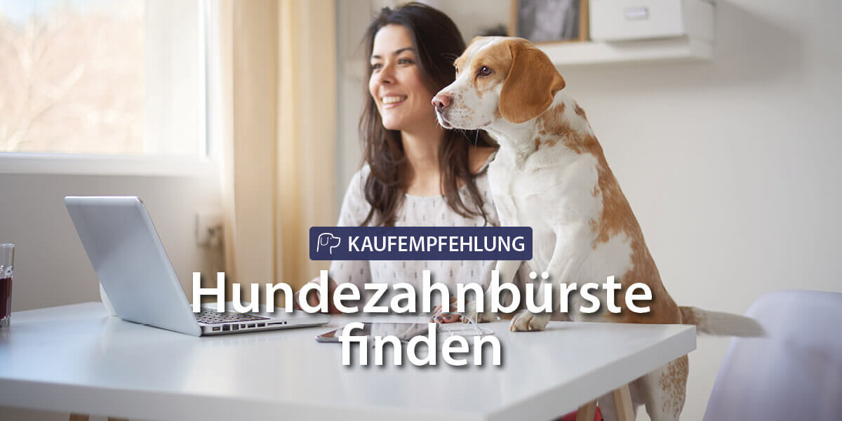 4 Kauf-Tipps, wie Sie die ideale Hundezahnbürste für Ihren Hund finden