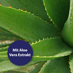 Aloe Vera Pflanze - Mit Aloe Vera Extrakt
