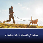 Jogger mit Hund an der Leine - Fördert das Wohlbefinden