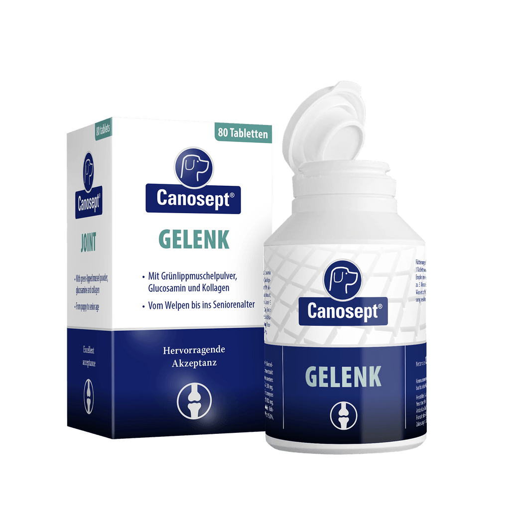 Canosept Gelenk Tabletten 80 Stück für Hunde