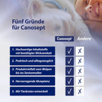 Übersicht fünf Gründe für Canosept
