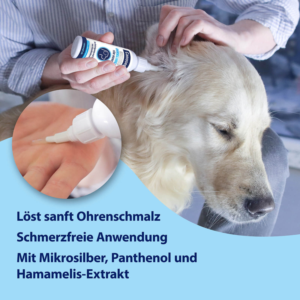 Sensitiv Ohrreiniger wird in Hundeohr getropft, Löst Ohrenschmalz, Schmerzfreie Anwendung