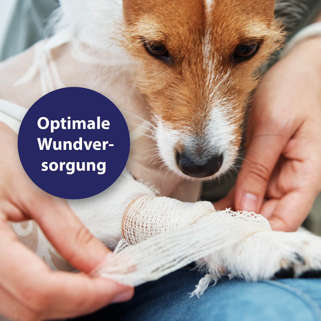 Canosept Wundgel mit optimaler Wundversorgung