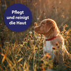Hund auf Wiese - Pflegt und reinigt die Haut