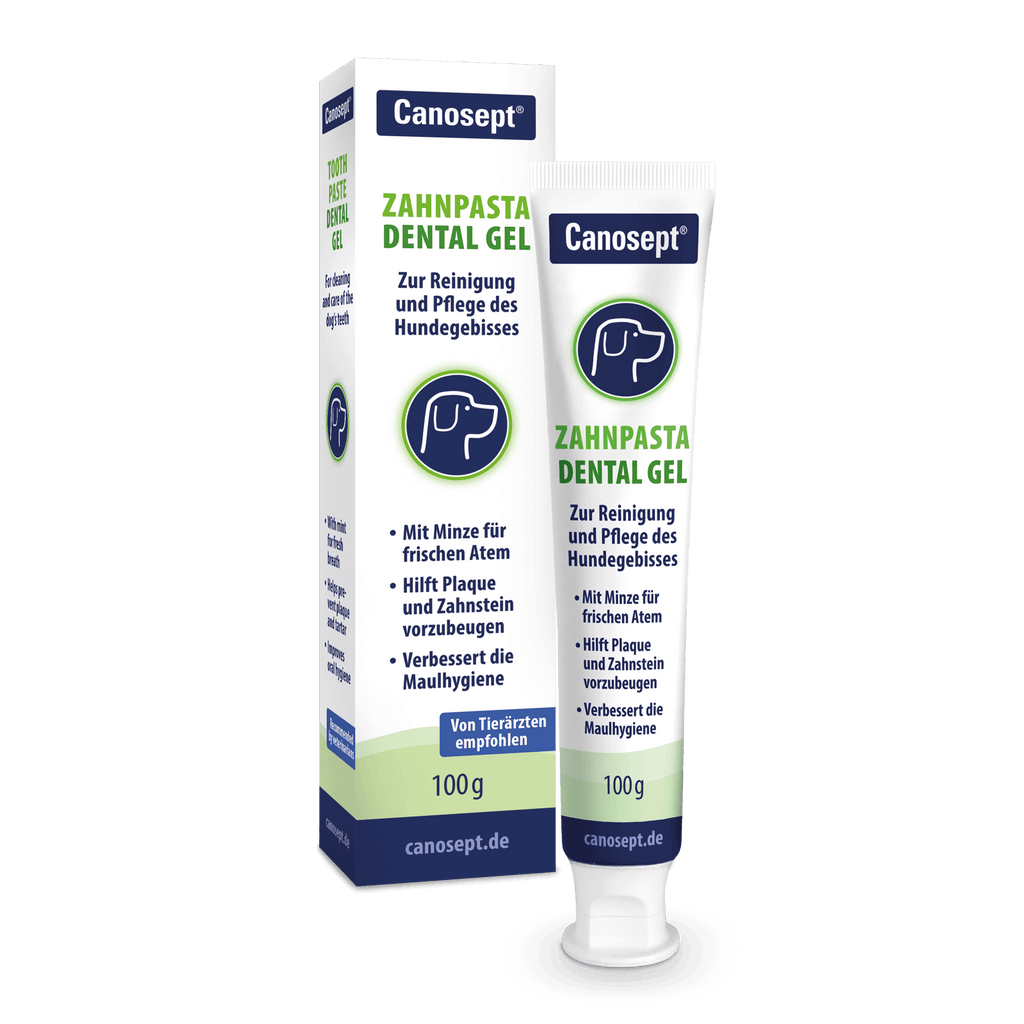 Canosept Zahnpasta Dental Gel für Hunde - Hilft Plaque, Zahnstein und Karies vorzubeugen