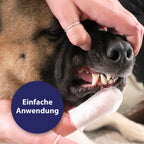 Hund werden Zähne mit Zahnpflegepads gereinigt - Einfache Anwendung