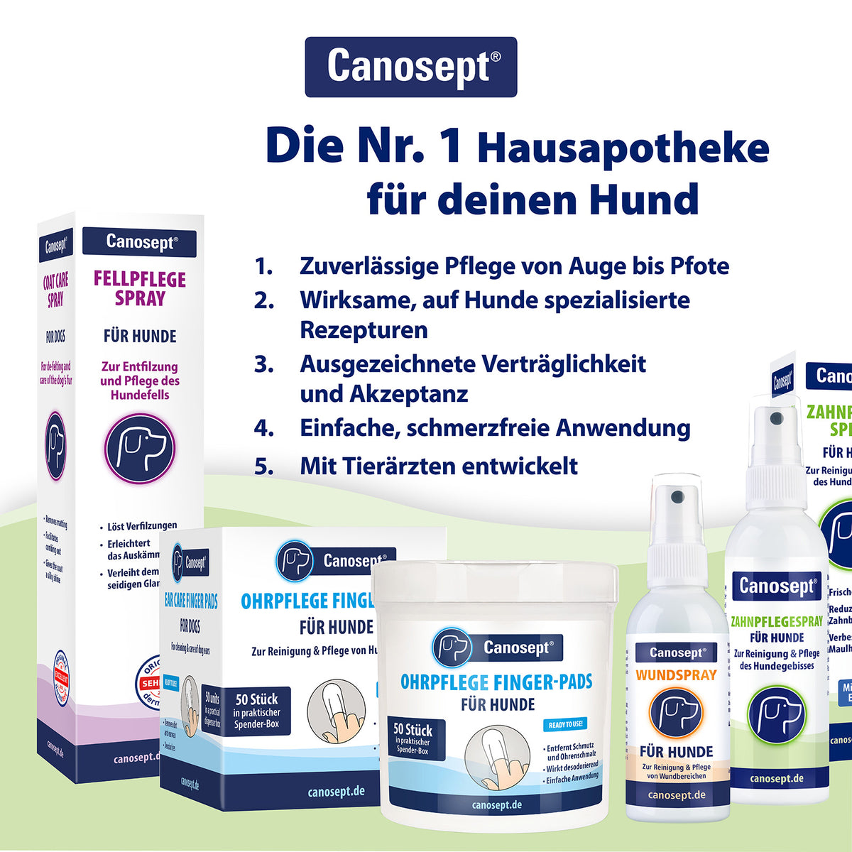 Canosept Zahnpflegespray - Optimale Ergänzung zu Zahnpflege Pads