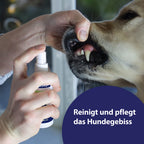 Hund lächelt - Effektive Reinigung